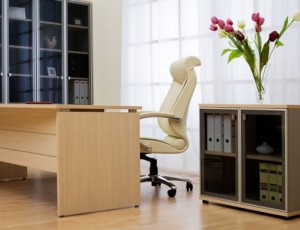 Decoração para Ambientes de Trabalho