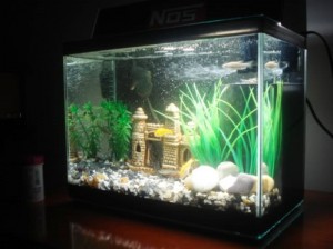 Decoração com Aquários