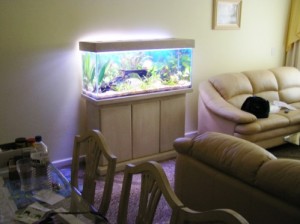 Decoração com Aquários