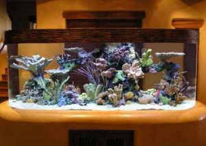 Decoração com Aquários